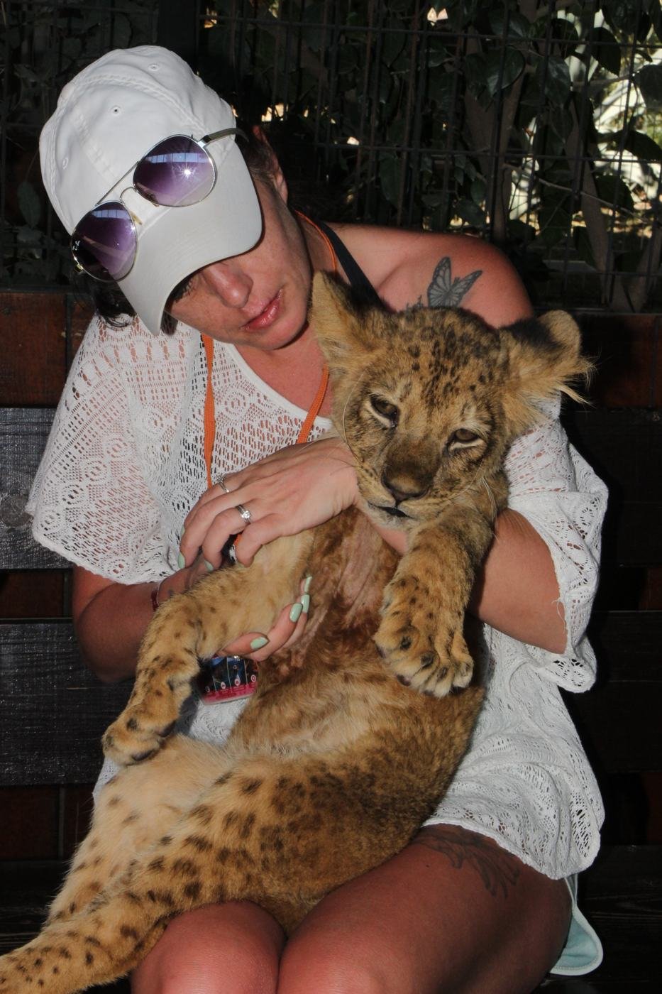 Baby lion — Lions Park Antalya